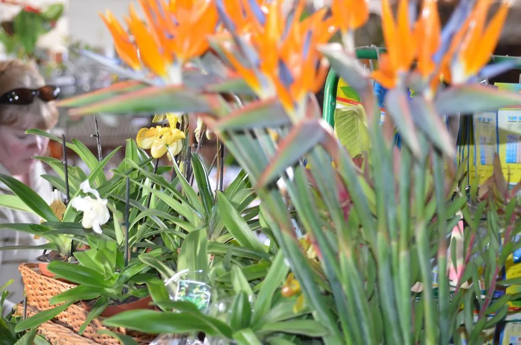 Studios Funchal By Petit Hotels Apartment Funchal (Madeira)